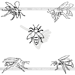 Flies. Sketch by hand. Pencil drawing. image - vector clipart / vector image