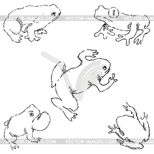 Frogs. Sketch by hand. Pencil drawing by hand. - vector clipart