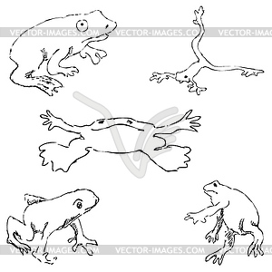 Frogs. Sketch by hand. Pencil drawing by hand. - white & black vector clipart