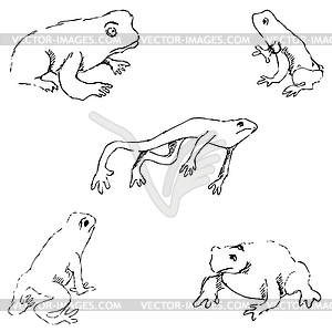 Frogs. Sketch by hand. Pencil drawing by hand. - vector clip art