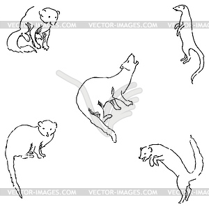 Mongoose. Sketch by hand. Pencil drawing by hand. - vector clipart