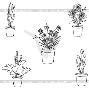 Houseplants. Sketch by hand. Pencil drawing by hand - vector clip art