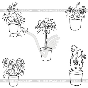 Houseplants. Sketch by hand. Pencil drawing by hand - vector clipart / vector image