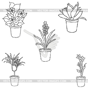 Houseplants. Sketch by hand. Pencil drawing by hand - vector image