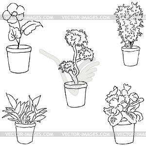 Houseplants. Sketch by hand. Pencil drawing by hand - vector image