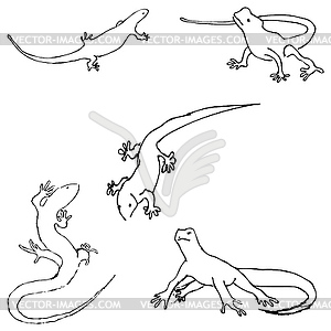 Lizards. Sketch by hand. Pencil drawing by hand. - vector clipart