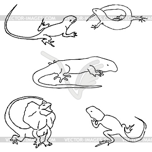 Lizards. Sketch by hand. Pencil drawing by hand. - vector image