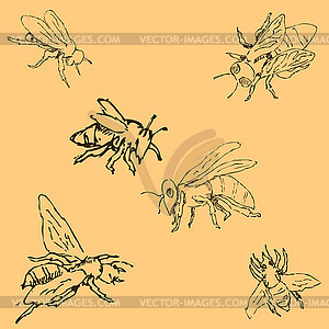 Flies. Sketch by hand. Pencil drawing by hand. - vector clipart