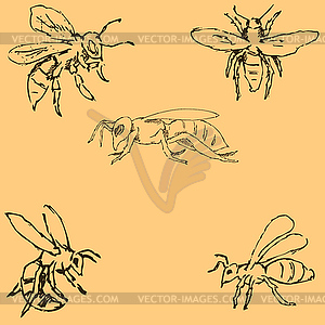 Flies. Sketch by hand. Pencil drawing by hand. - vector image