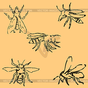 Flies. Sketch by hand. Pencil drawing by hand. - vector image