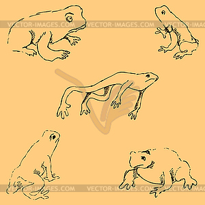 Frogs. Sketch by hand. Pencil drawing by hand. - vector clipart