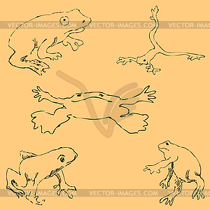 Frogs. Sketch by hand. Pencil drawing by hand. - vector image