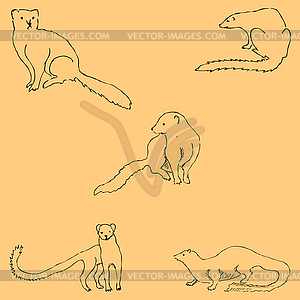 Mongoose. Sketch by hand. Pencil drawing by hand. - vector clipart
