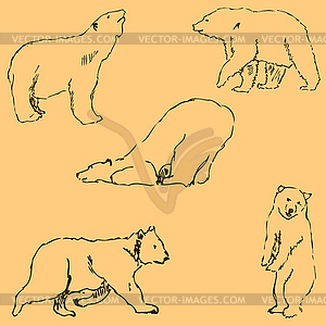 Bears. Sketch by hand. Pencil drawing by hand. - vector clipart