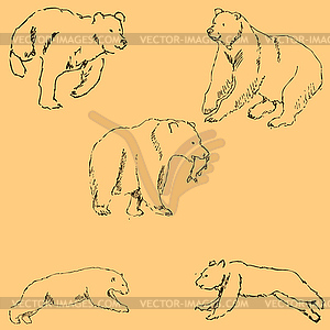 Bears. Sketch by hand. Pencil drawing by hand. - vector image