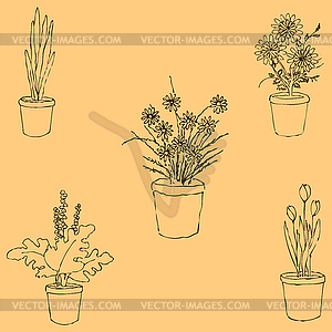 Houseplants. Sketch by hand. Pencil drawing by hand - vector clipart / vector image