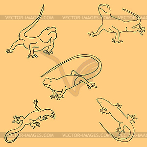 Lizards. Sketch by hand. Pencil drawing by hand. - vector clipart