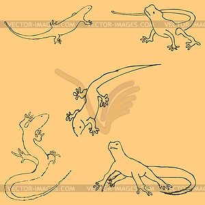 Lizards. Sketch by hand. Pencil drawing by hand. - color vector clipart