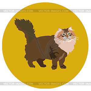 Cats of different breeds. Icons. image in flat - vector clip art