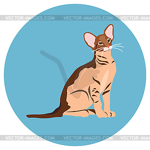 Cats of different breeds. Icons. image in flat - vector clip art
