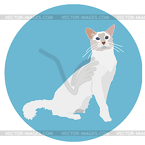 Cats of different breeds. Icons. image in flat - vector image