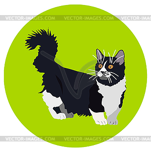 Cats of different breeds. Icons. image in flat - vector image