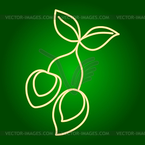 Icons of green mango. Holiday Ugadi. Fine lines - vector clipart