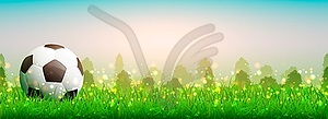 Soccer ball on the grass. Beautiful summer background - vector clip art