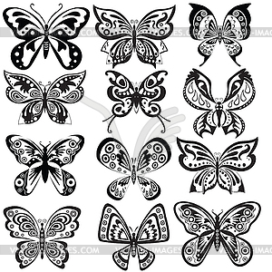 Set butterfly in black and white - vector image