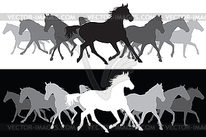 White and black Trotting horses silhouette - stock vector clipart