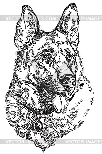 Hand drawing German shepherd - vector image
