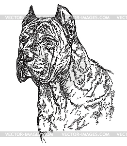 Dog head in profil hand drawing - stock vector clipart