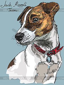 Colorful Jack Russel terrier - vector clipart / vector image