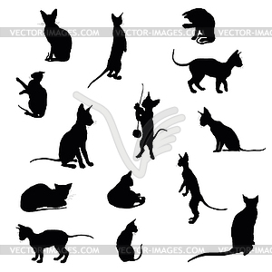 Set of cats silhouettes - stock vector clipart