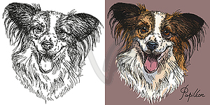 Papillon dog in black and white and colorful - royalty-free vector image