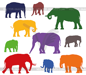 Set of colorful elephants silhouettes - color vector clipart