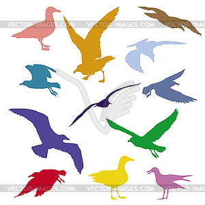 Набор красочных силуэтов чайков - векторный эскиз
