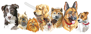 Dog breeds set - vector clip art