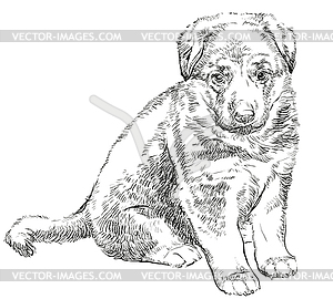 Puppy of german shepherd - vector clipart