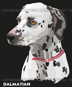 Coloful portrait of dalmatian - vector clip art