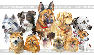 Set of big and small dog breeds - vector clipart