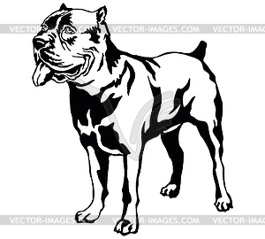 Decorative standing portrait of dog Cane corso - vector image