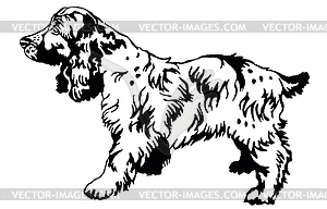 Decorative standing portrait of dog Russian Spaniel - vector image