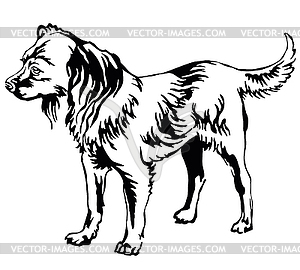 Decorative standing portrait of dog Russian Toy - vector clipart