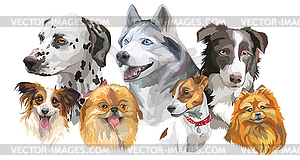 Different dog breeds set - vector image