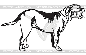 Decorative standing portrait of dog Dogue de - royalty-free vector clipart