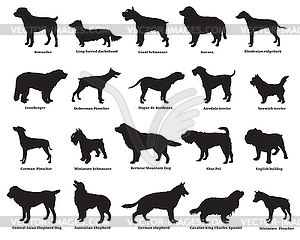 Set of dogs silhouettes - vector clipart