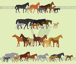 Набор силуэтов лошадей и жеребцов - иллюстрация в векторе