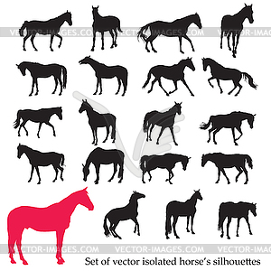 Set of horse`s silhouettes - vector image