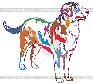 Colorful decorative standing portrait of Greater - vector clipart / vector image